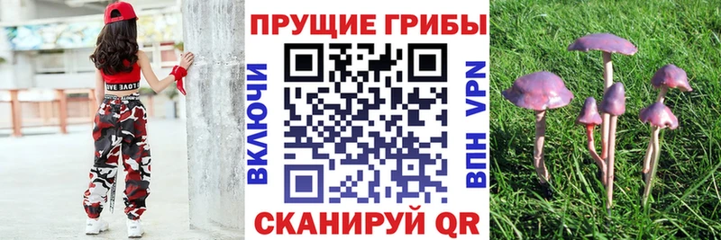Галлюциногенные грибы мухоморы  Поронайск 